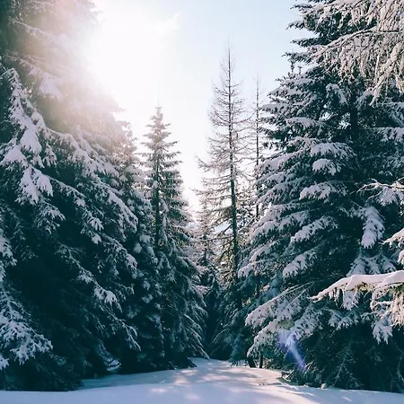 公寓 Karasek Deluxe 赛特朵夫