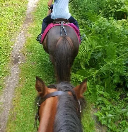 Karasek Deluxe 公寓 *