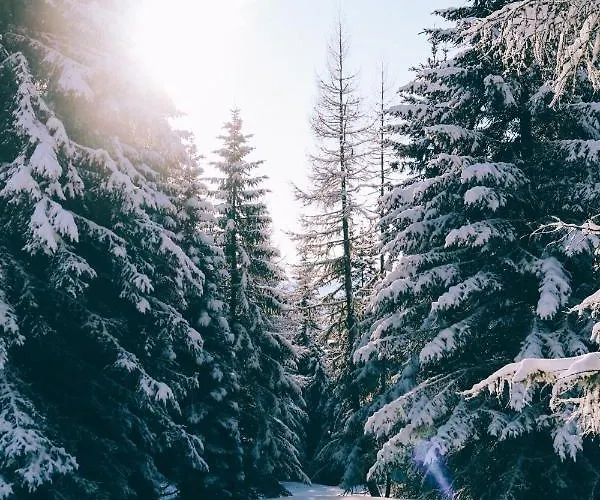 Apartament Karasek Deluxe Sattendorf