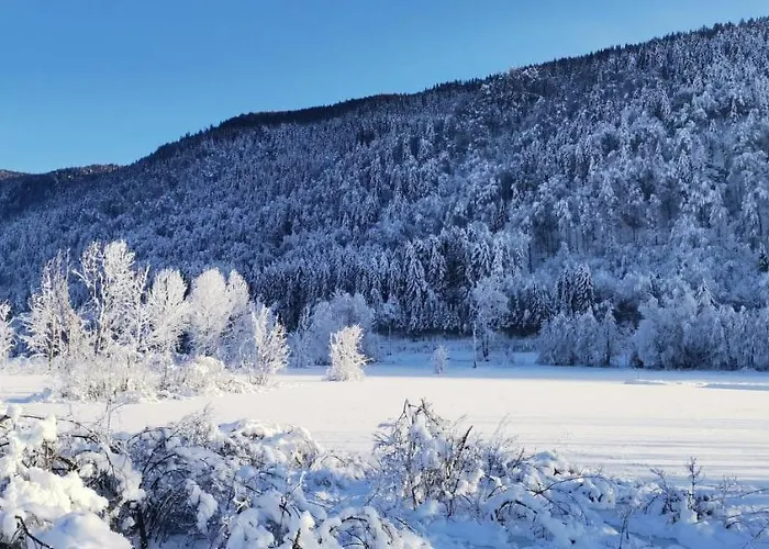 Apartament Karasek Deluxe *