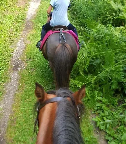 Karasek Deluxe Apartament *